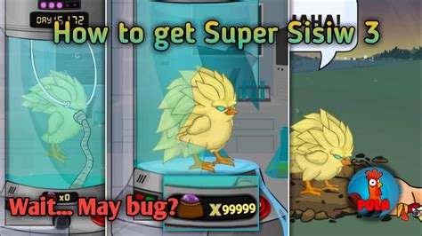 how to get super sisiw 3|Manok na Pula .